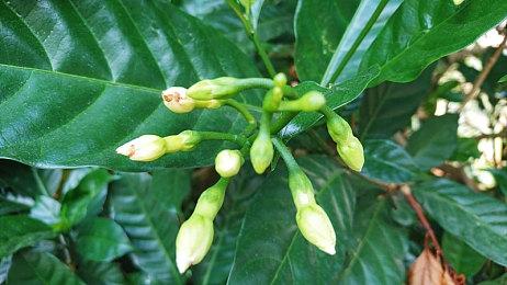 羞耻度爆表 《辐射76》推出新款海豚动力装甲