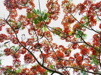 《七日杀》2.2版上线 追加更多新要素和实用改动